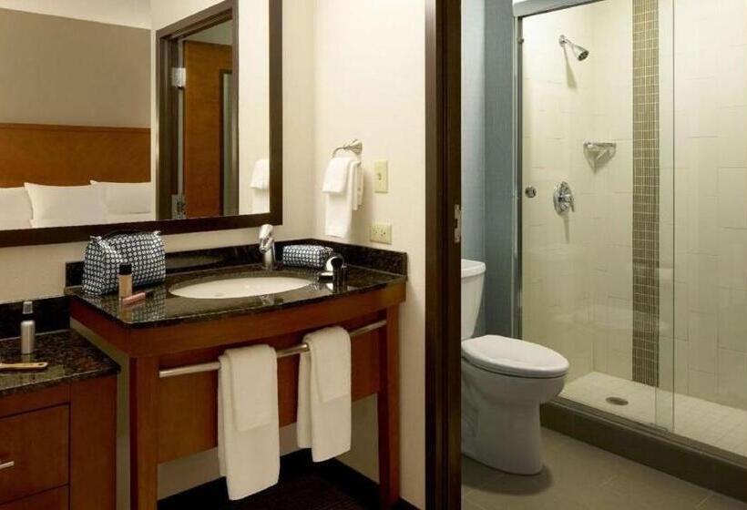 Номер Стандарт 2 Двуспальные Кровати, Hyatt Place Detroit/utica