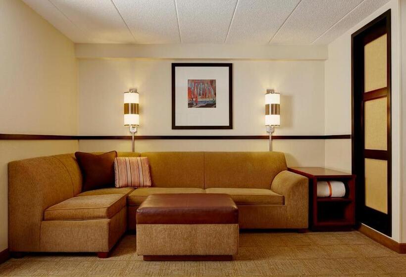 Номер Стандарт Кровать Кинг Адаптированный для Инвалидов, Hyatt Place Detroit/utica