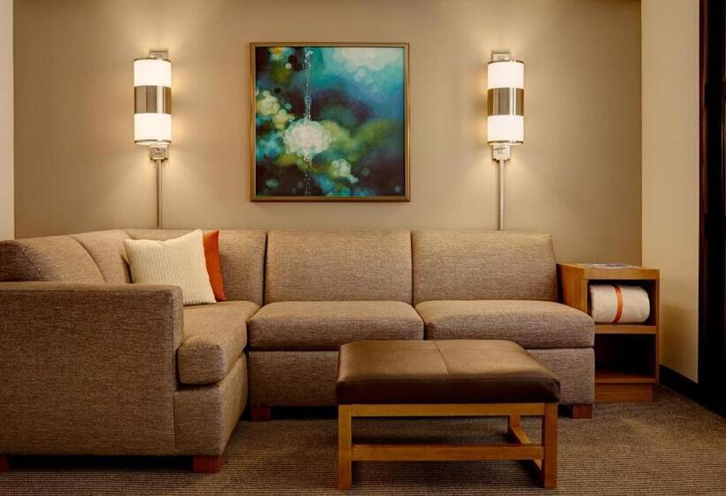 Номер Стандарт Адаптированный для Инвалидов, Hyatt Place Detroit/utica