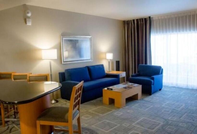 디럭스 스위트 킹 침대, The Platinum