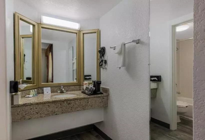 اتاق سوپریور برای معلولان, Quality Inn & Suites Airport