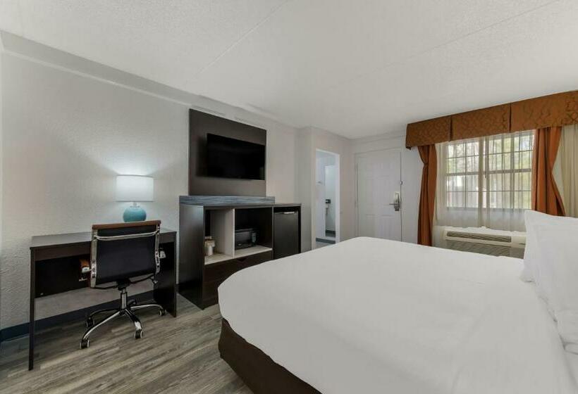 חדר קלאסי מיטת קינג סייז, Quality Inn & Suites Airport