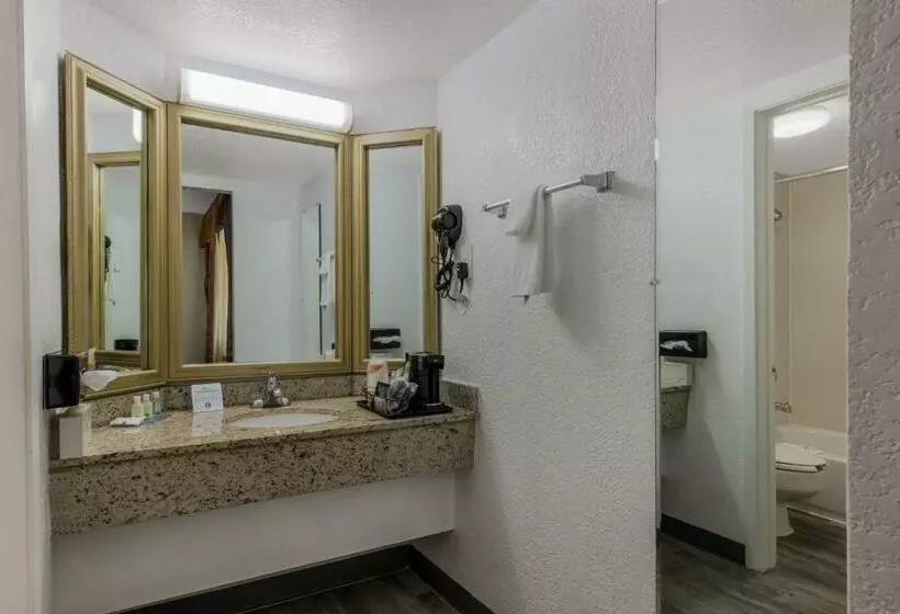 اتاق کلاسیک با تخت دونفره, Quality Inn & Suites Airport