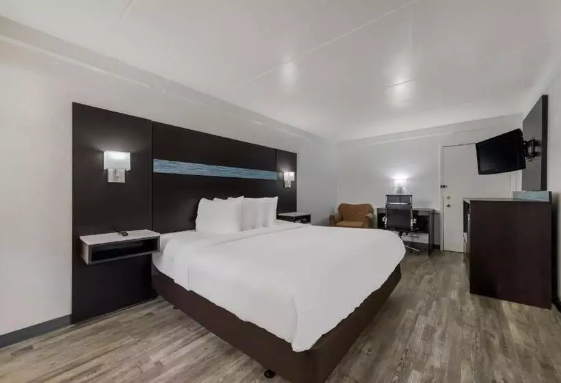 اتاق استاندارد با تخت بزرگ برای معلولان, Quality Inn & Suites Airport