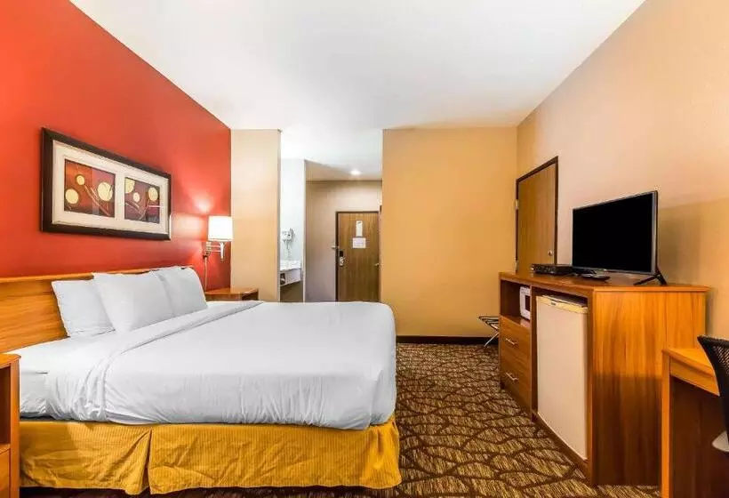 اتاق استاندارد با تخت بزرگ, Quality Inn & Suites Chesterfield Village