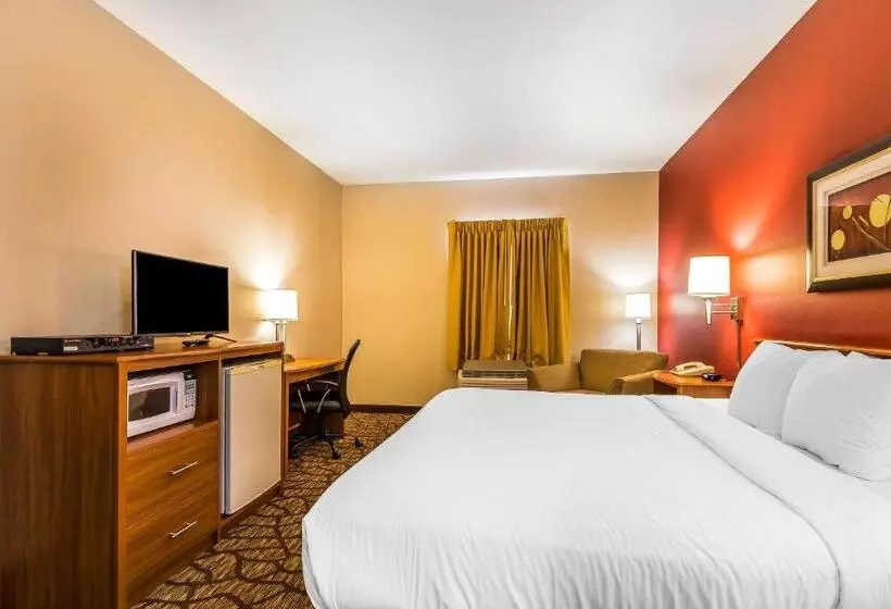 اتاق استاندارد با تخت بزرگ, Quality Inn & Suites Chesterfield Village