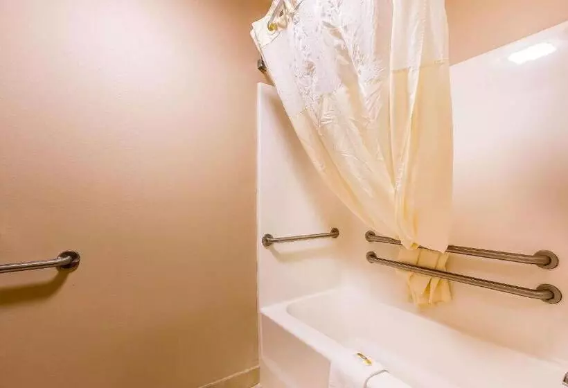 اتاق استاندارد, Quality Inn & Suites Chesterfield Village