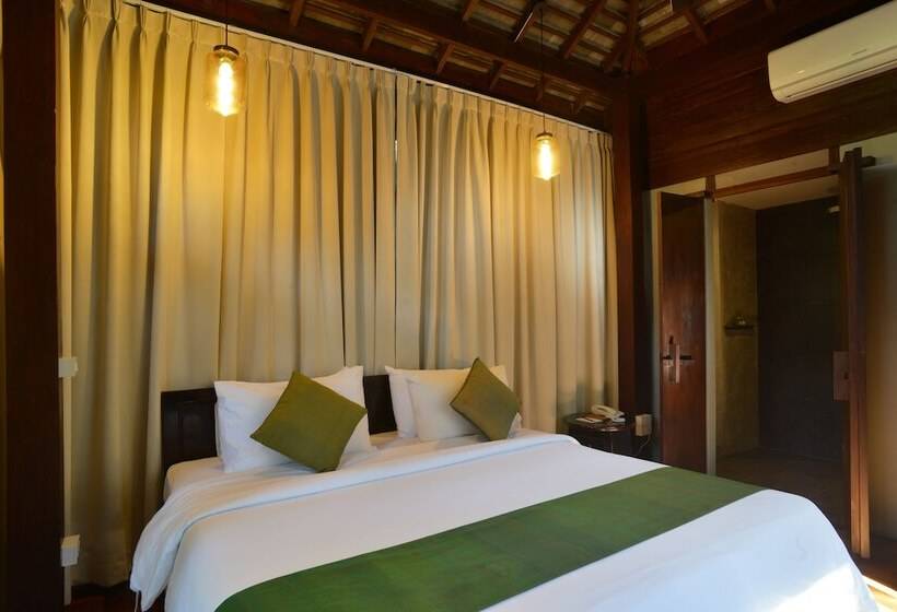 디럭스 룸, The Quarter Pai