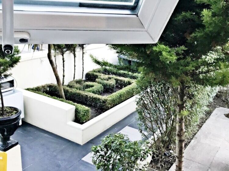 Студио Executive, W6