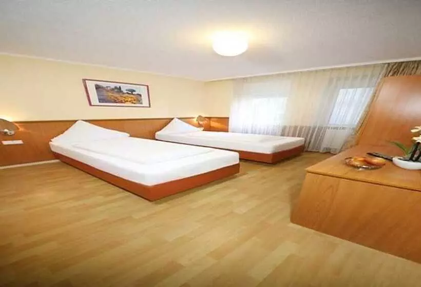 اتاق استاندارد سه نفره, Europa Offenbach