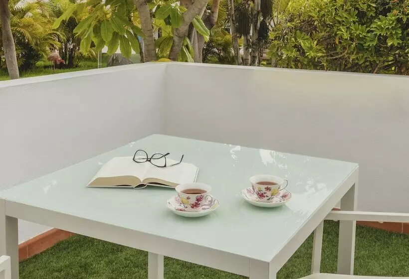 استودیوی استاندارد, Flamingo Beach Mate