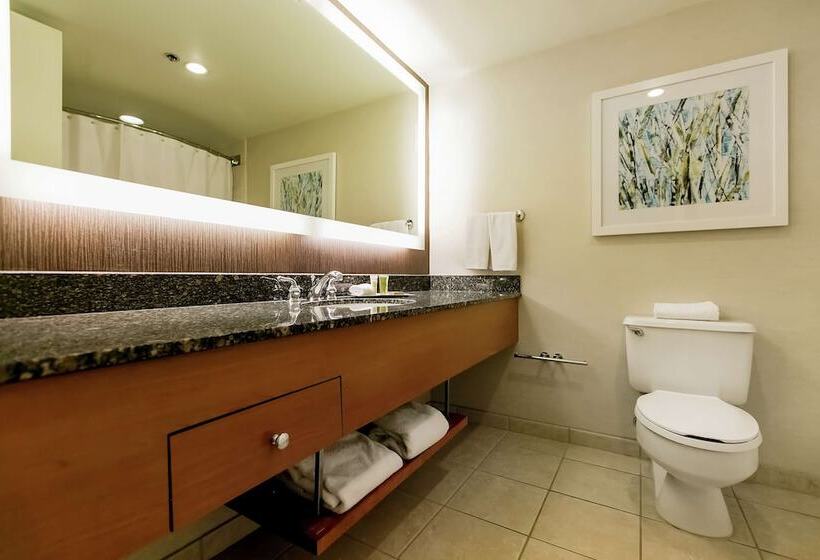 キングサイズベッドのジュニアスイート, Hilton Salt Lake City Center