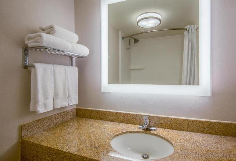 キングサイズベッドのスタンダードルーム, Holiday Inn Express El Paso Central, An Ihg