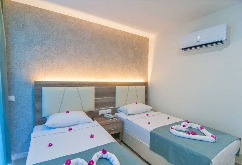 Номер Стандарт, Kolibri