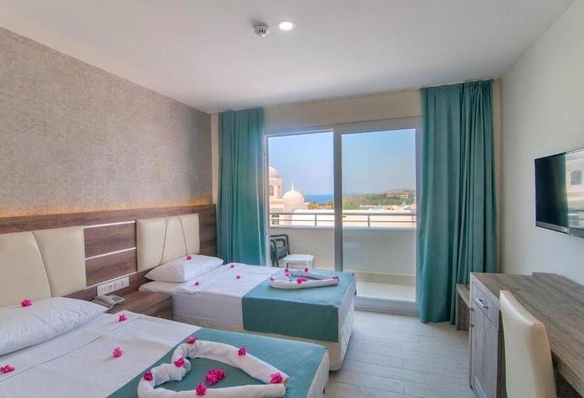 Номер Стандарт, Kolibri