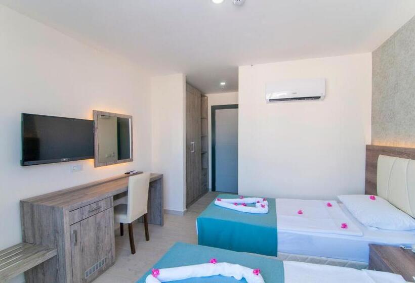 Номер Стандарт, Kolibri