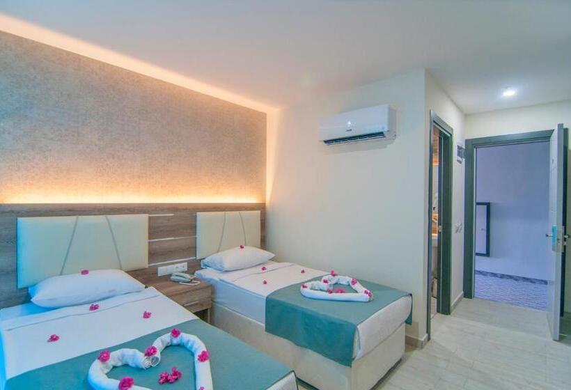 Номер Стандарт, Kolibri