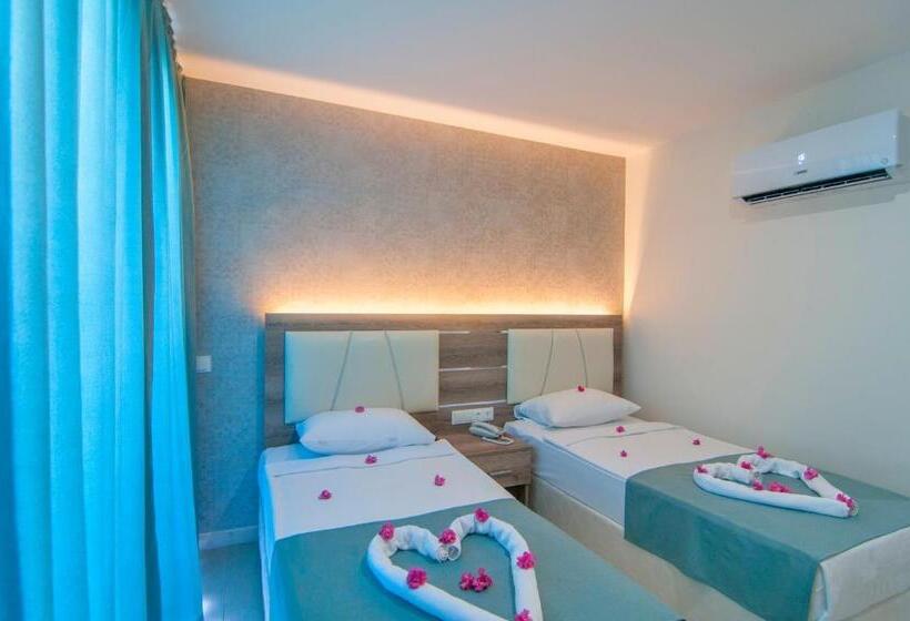 Номер Стандарт, Kolibri