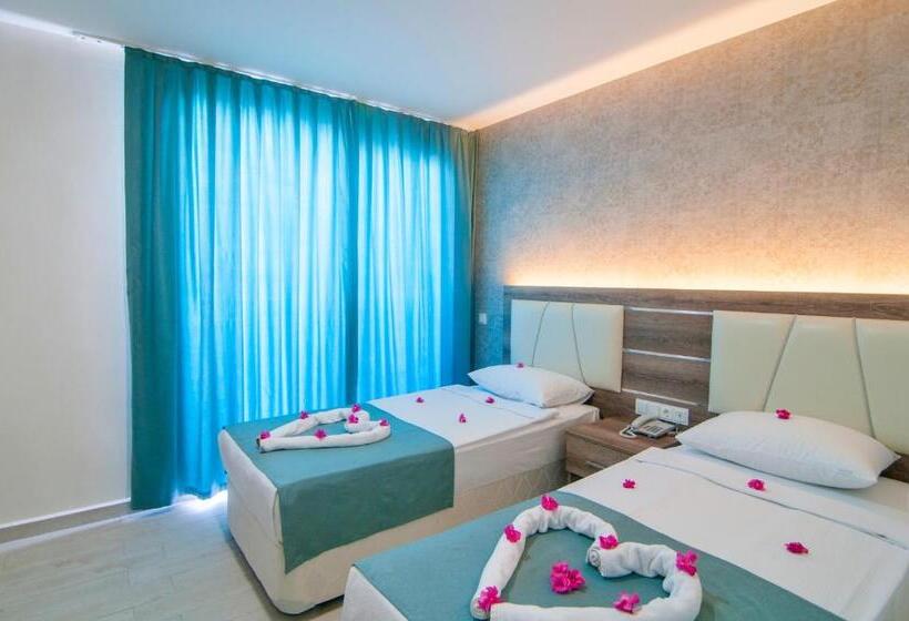 Номер Стандарт, Kolibri