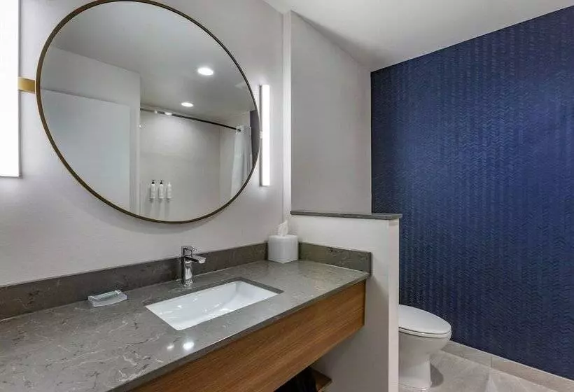 ２ダブルベッドのスタンダードルーム, Fairfield By Marriott Inn & Suites Sandusky