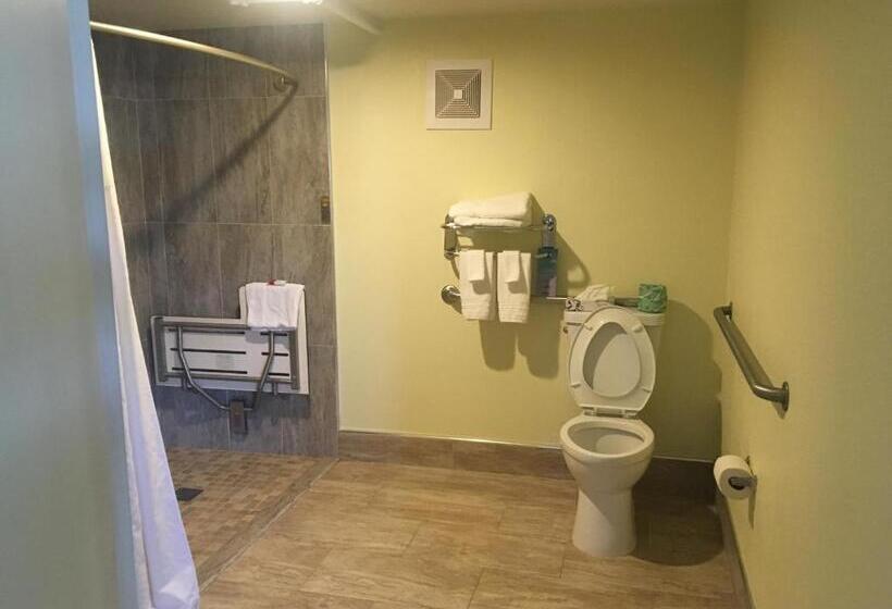 디럭스 스위트 킹 침대, Travelodge By Wyndham Fairfield/napa Valley