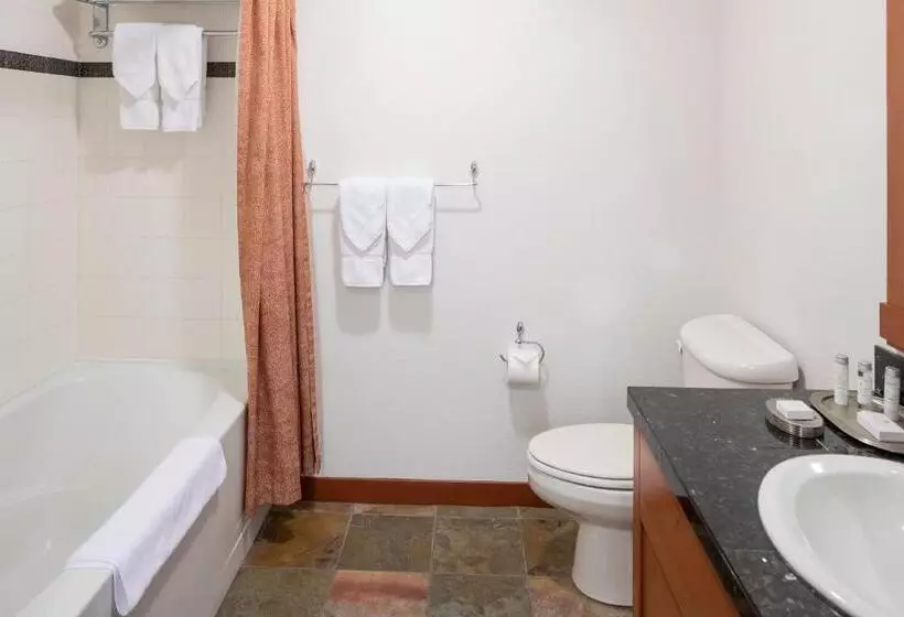 آپارتمان 1 خوابه, The Village Lodge