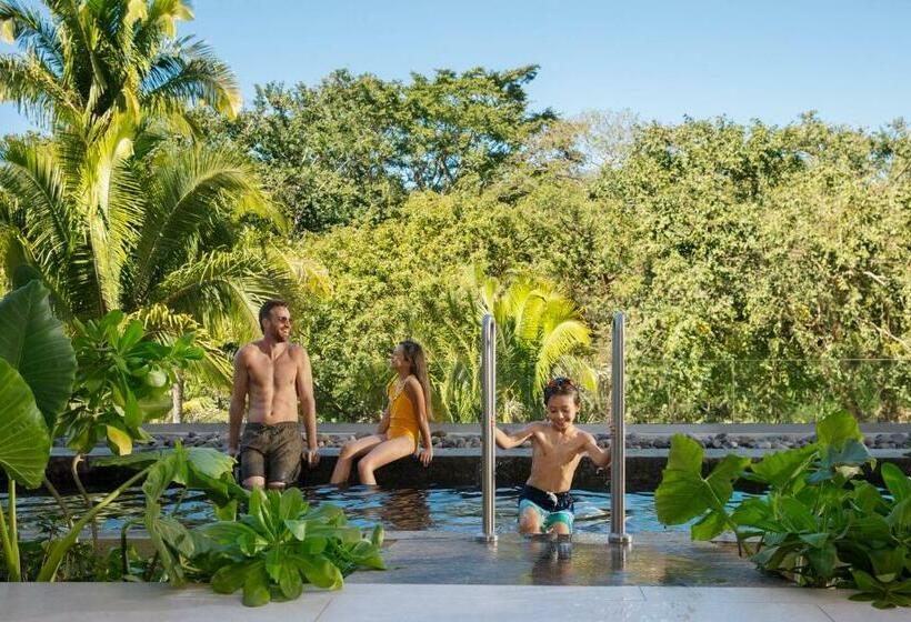 جناح جونيور ذات إطلالة, Dreams Bahia Mita Surf And Spa   All Inclusive