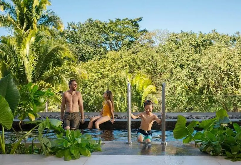 سوئیت جونیور با چشم‌انداز, Dreams Bahia Mita Surf And Spa   All Inclusive