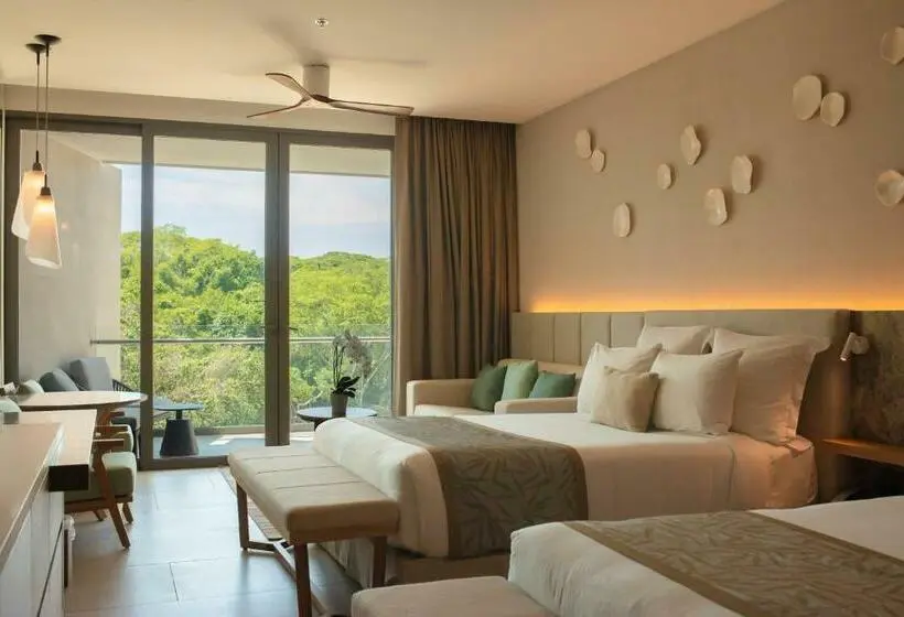 سوییت خانوادگی, Dreams Bahia Mita Surf And Spa   All Inclusive