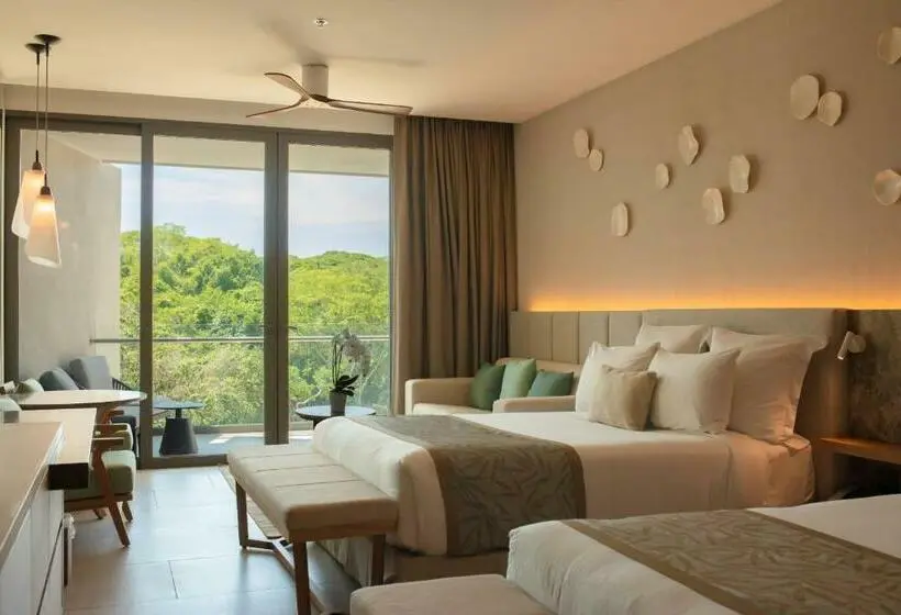 سوییت, Dreams Bahia Mita Surf And Spa   All Inclusive