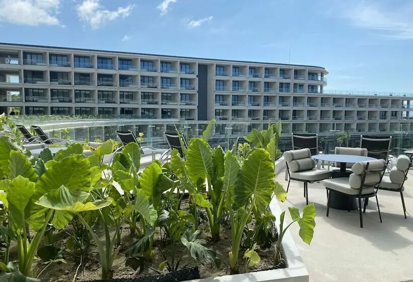 سوییت جونیور کلاب, Dreams Bahia Mita Surf And Spa   All Inclusive