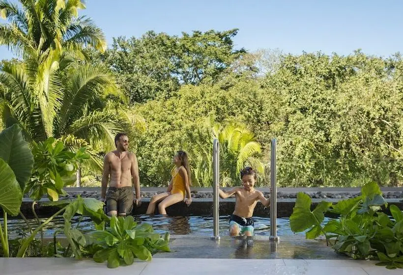 سوئیت کلوب با چشم‌انداز, Dreams Bahia Mita Surf And Spa   All Inclusive