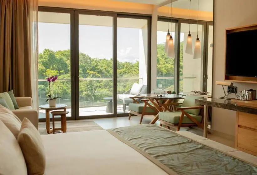 سوییت جونیور, Dreams Bahia Mita Surf And Spa   All Inclusive