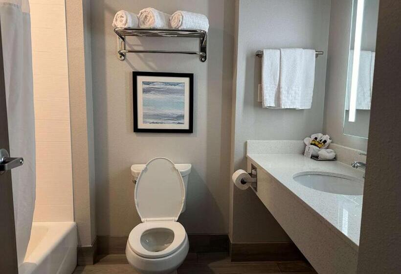 جناح سرير كينج, Best Western Plus Chandler