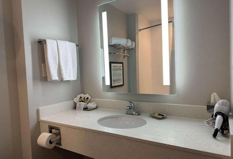 جناح سرير كينج, Best Western Plus Chandler