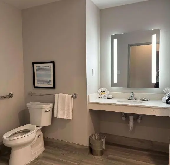 身障者適用キングサイズベッドルーム, Best Western Plus Chandler