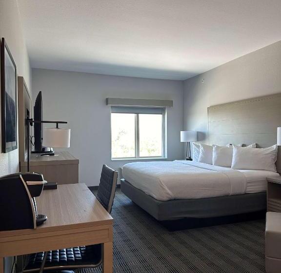 장애인을 위한 킹사이즈 침대 스탠다드 룸, Best Western Plus Chandler