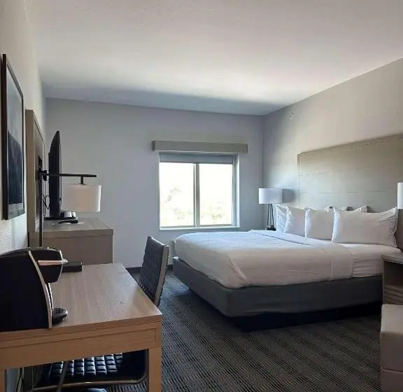 身障者適用キングサイズベッドルーム, Best Western Plus Chandler