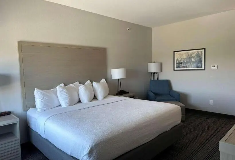 身障者適用キングサイズベッドルーム, Best Western Plus Chandler