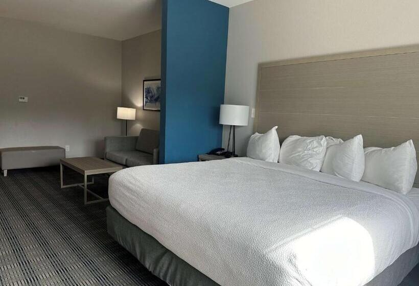 جناح لذوى الاحتياجات الخاصة, Best Western Plus Chandler