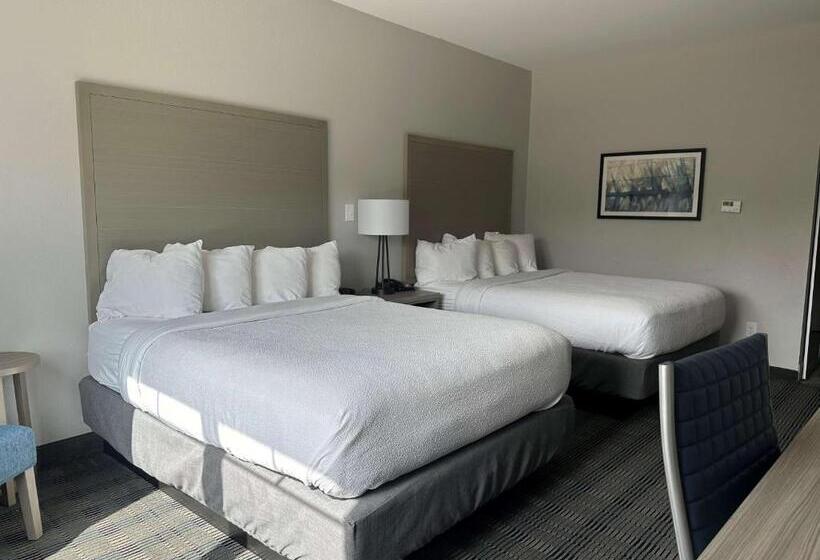 장애인을 위한 스탠다드 룸, Best Western Plus Chandler
