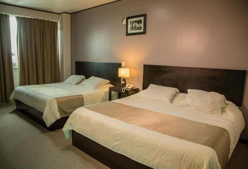 اتاق سوپریور با تخت بزرگ, Tierra Viva