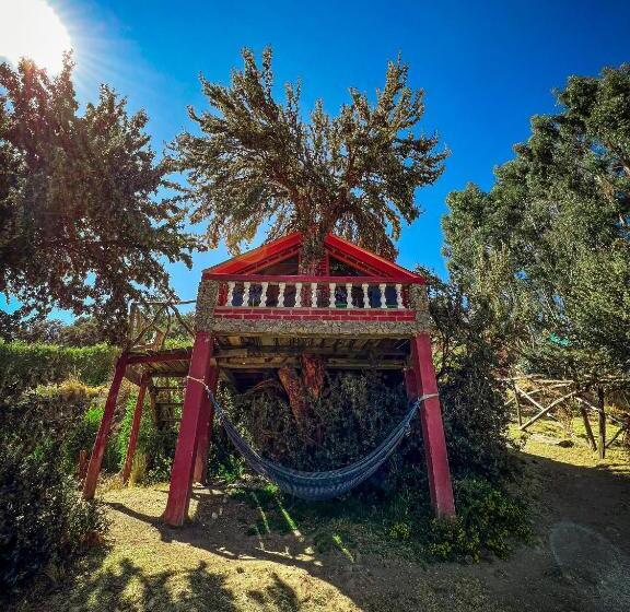 بانگلوی استاندارد, Hostal Sol Y Lago