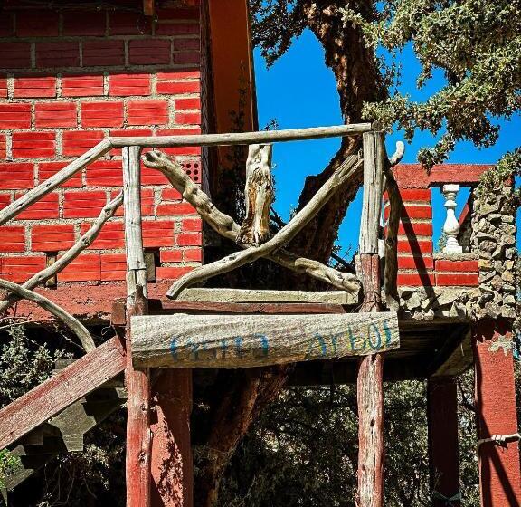 بانگلوی استاندارد, Hostal Sol Y Lago