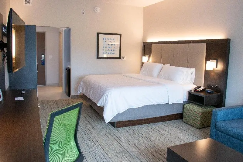 اتاق استاندارد با تخت بزرگ, Holiday Inn Express & Suites Tuscaloosa East, An Ihg