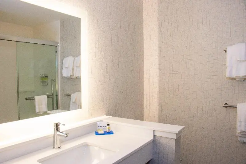 اتاق استاندارد با تخت بزرگ, Holiday Inn Express & Suites Tuscaloosa East, An Ihg