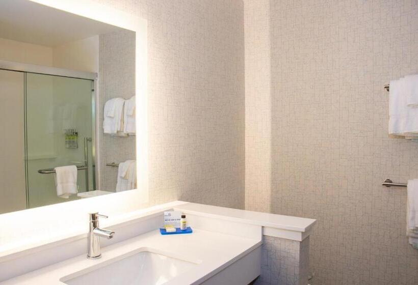 חדר סטנדרט עם מיטת קינג, Holiday Inn Express & Suites Tuscaloosa East, An Ihg