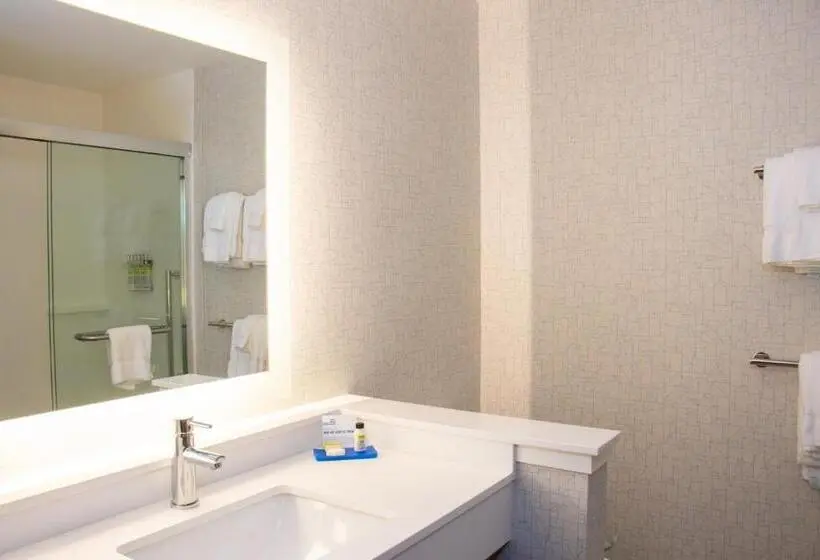 اتاق استاندارد با تخت بزرگ, Holiday Inn Express & Suites Tuscaloosa East, An Ihg