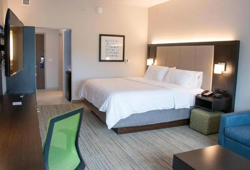 اتاق استاندارد با تخت بزرگ برای معلولان, Holiday Inn Express & Suites Tuscaloosa East, An Ihg