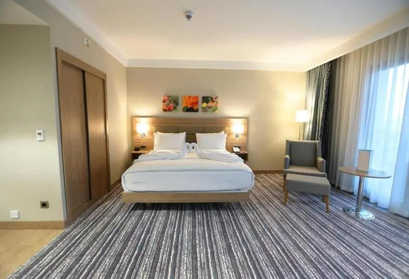 スイート, Park Dedeman Adıyaman